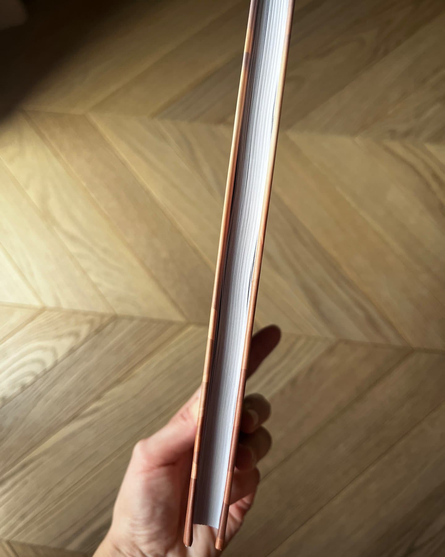 Життєве сафарі-Джон П. Стрелекі