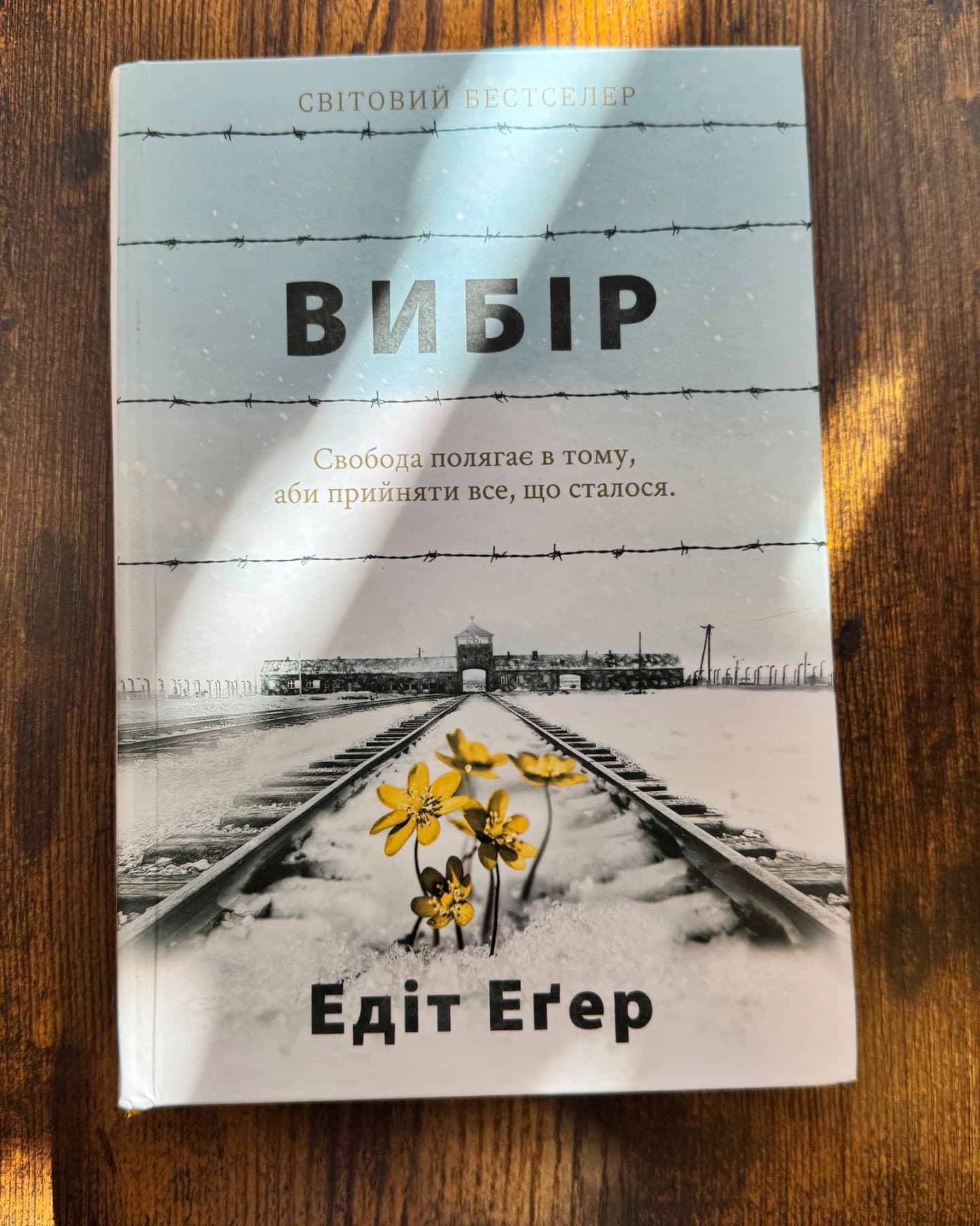 Вибір. Прийняти можливе-Едіт Єва Еґер