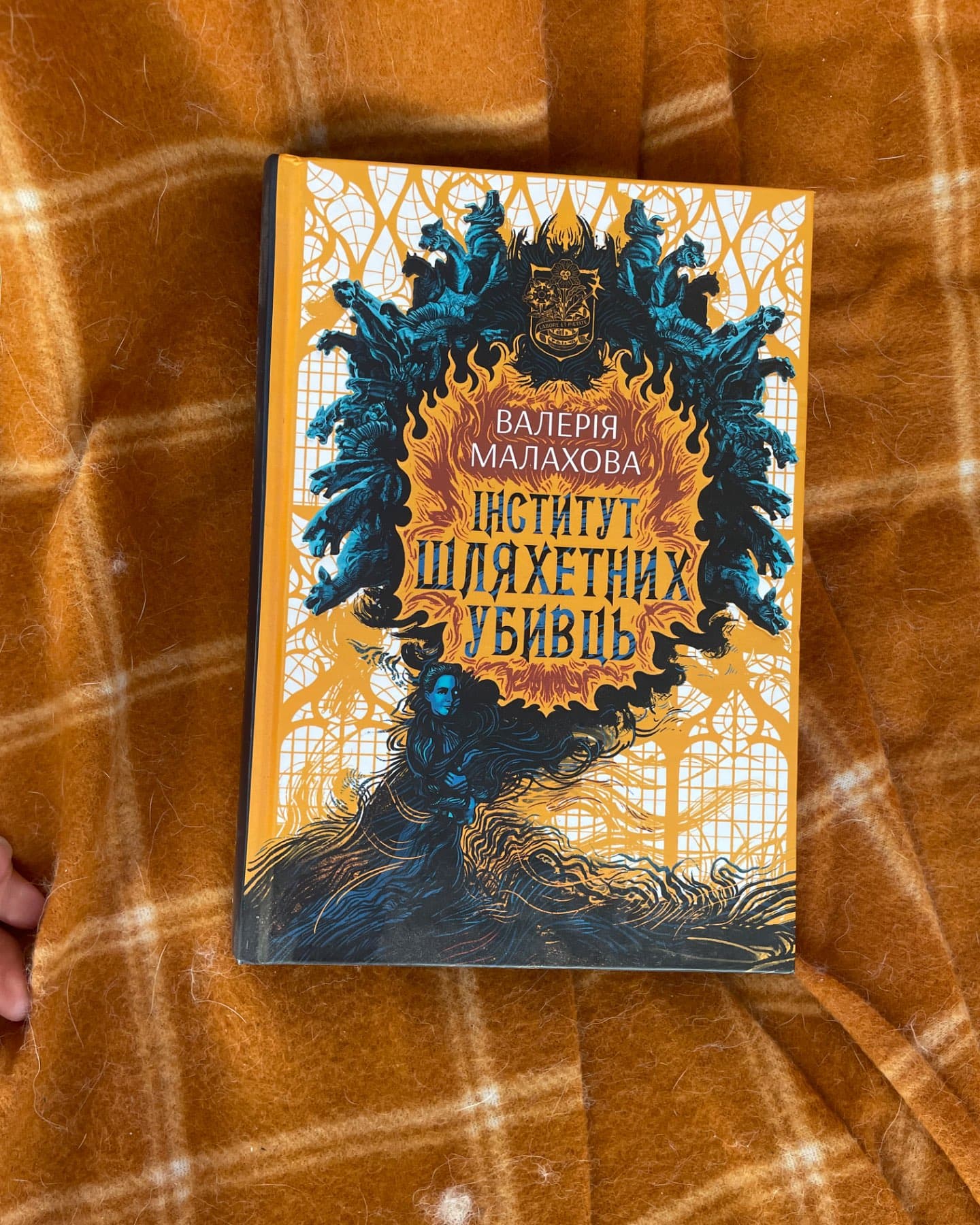 Інститут шляхетних убивць-Валерія Малахова