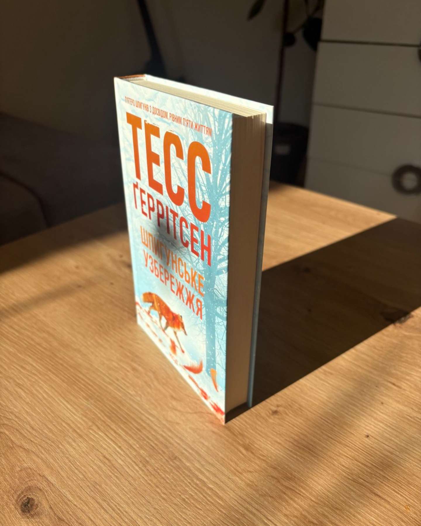 Шпигунське узбережжя. Книга 1-Тесс Ґеррітсен