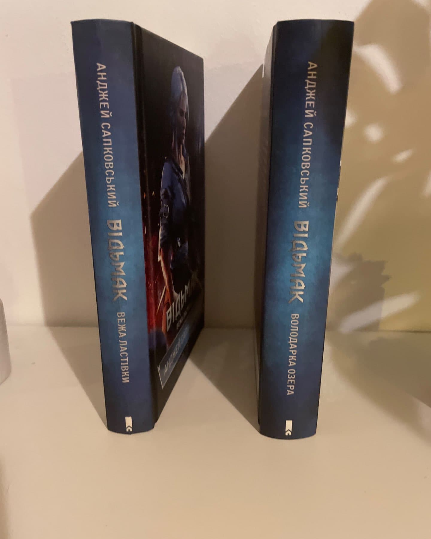 Відьмак. Вежа Ластівки. Книга 6, Відьмак. Володарка Озера. Книга 7-Анджей Сапковський