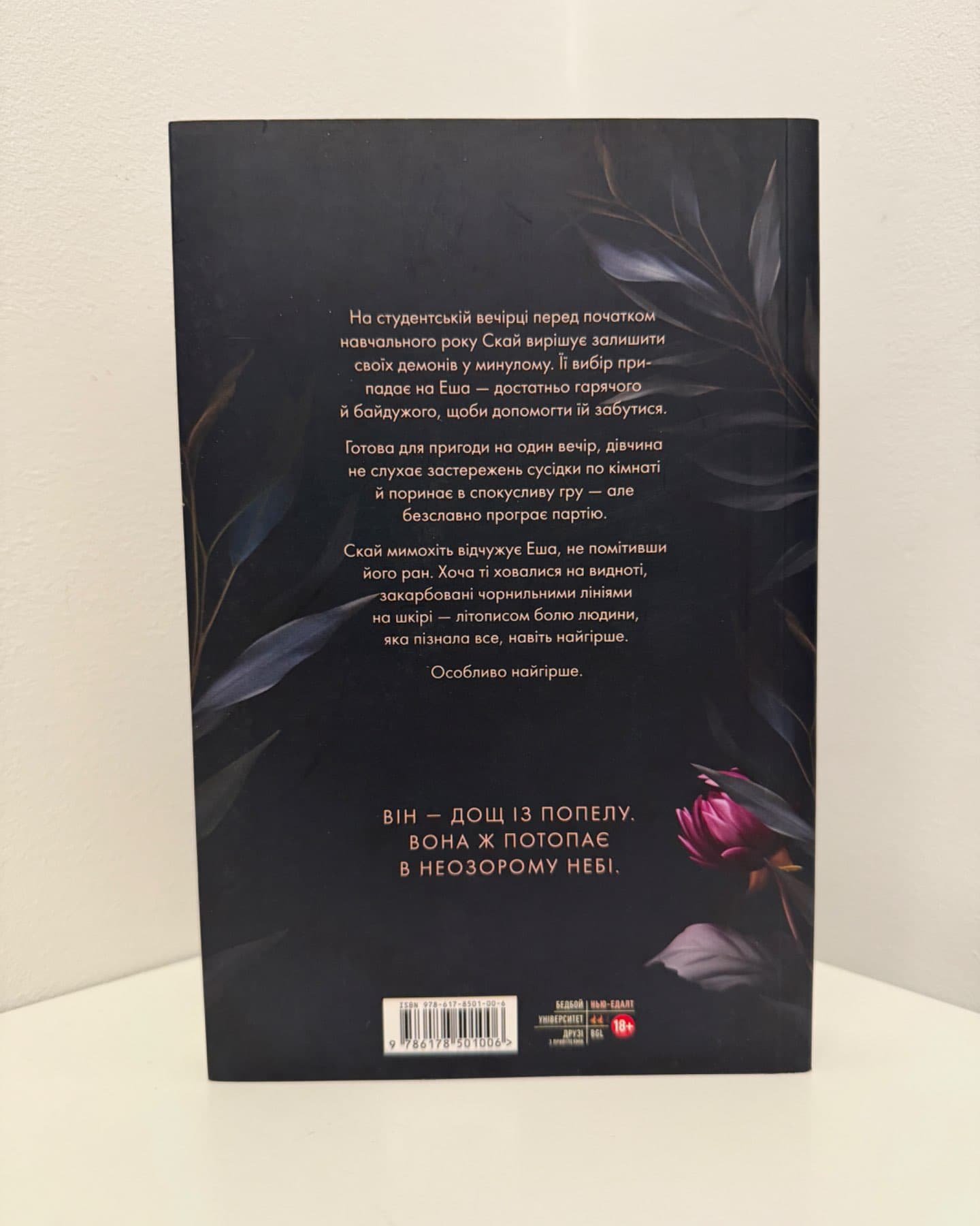 Попіл лине до неба. Том 1-Матьє Ґібе, Нін Ґорман