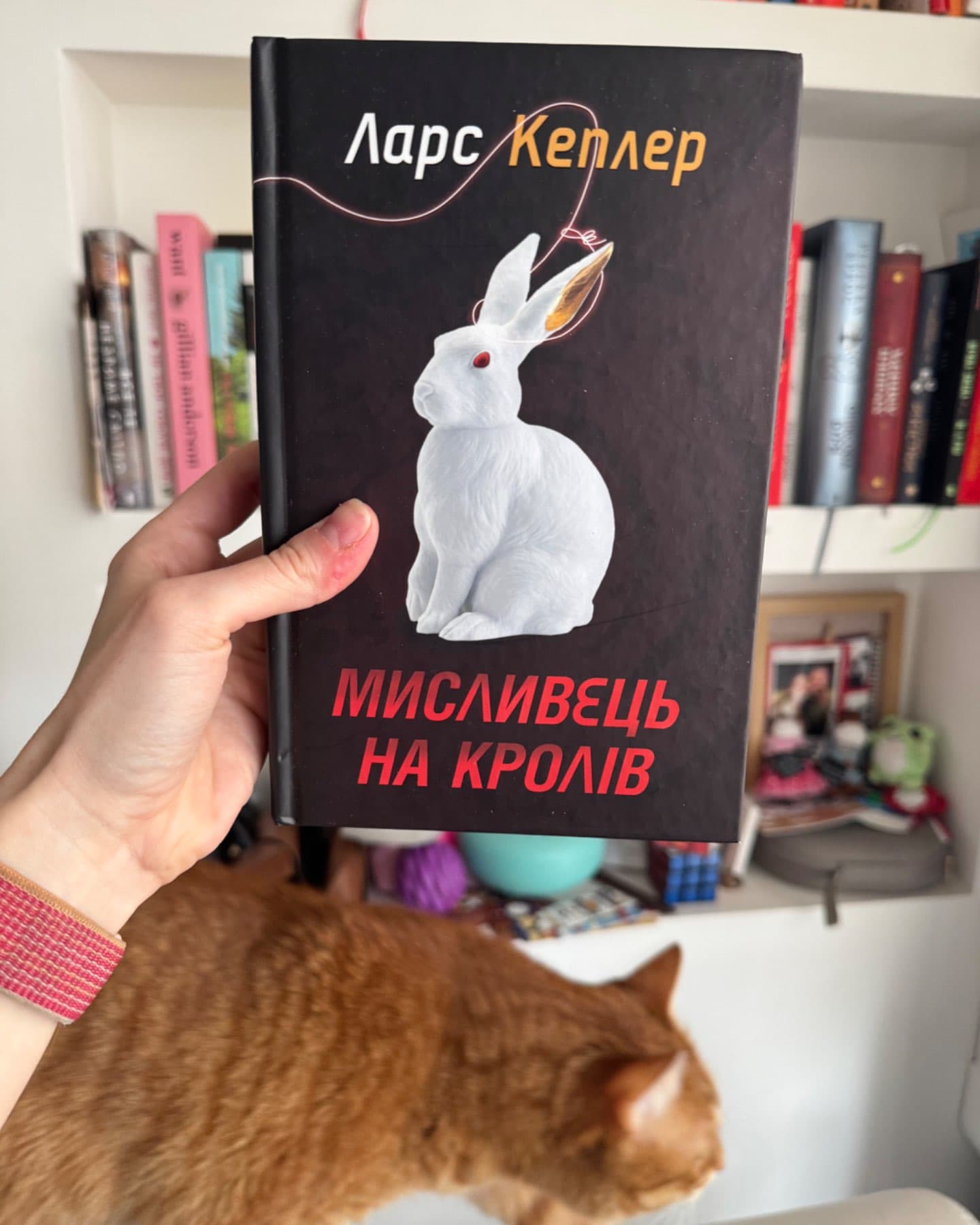 Мисливець на кролів. Книга 6-Ларс Кеплер