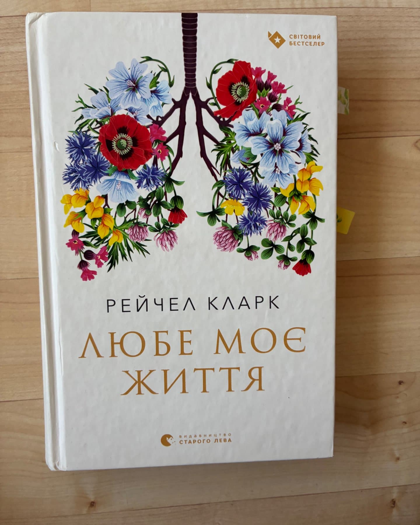 Любе моє життя-Рейчел Кларк