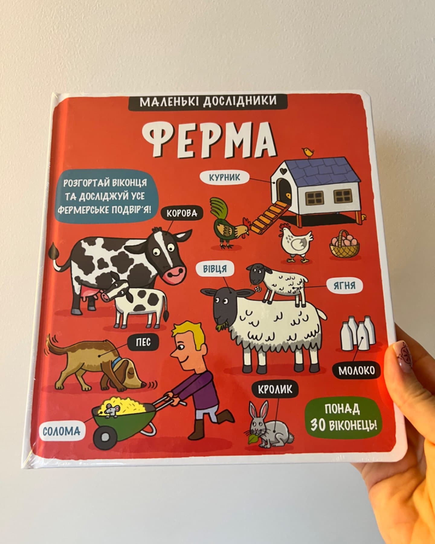 Маленькі дослідники. Ферма-Рут Мартін