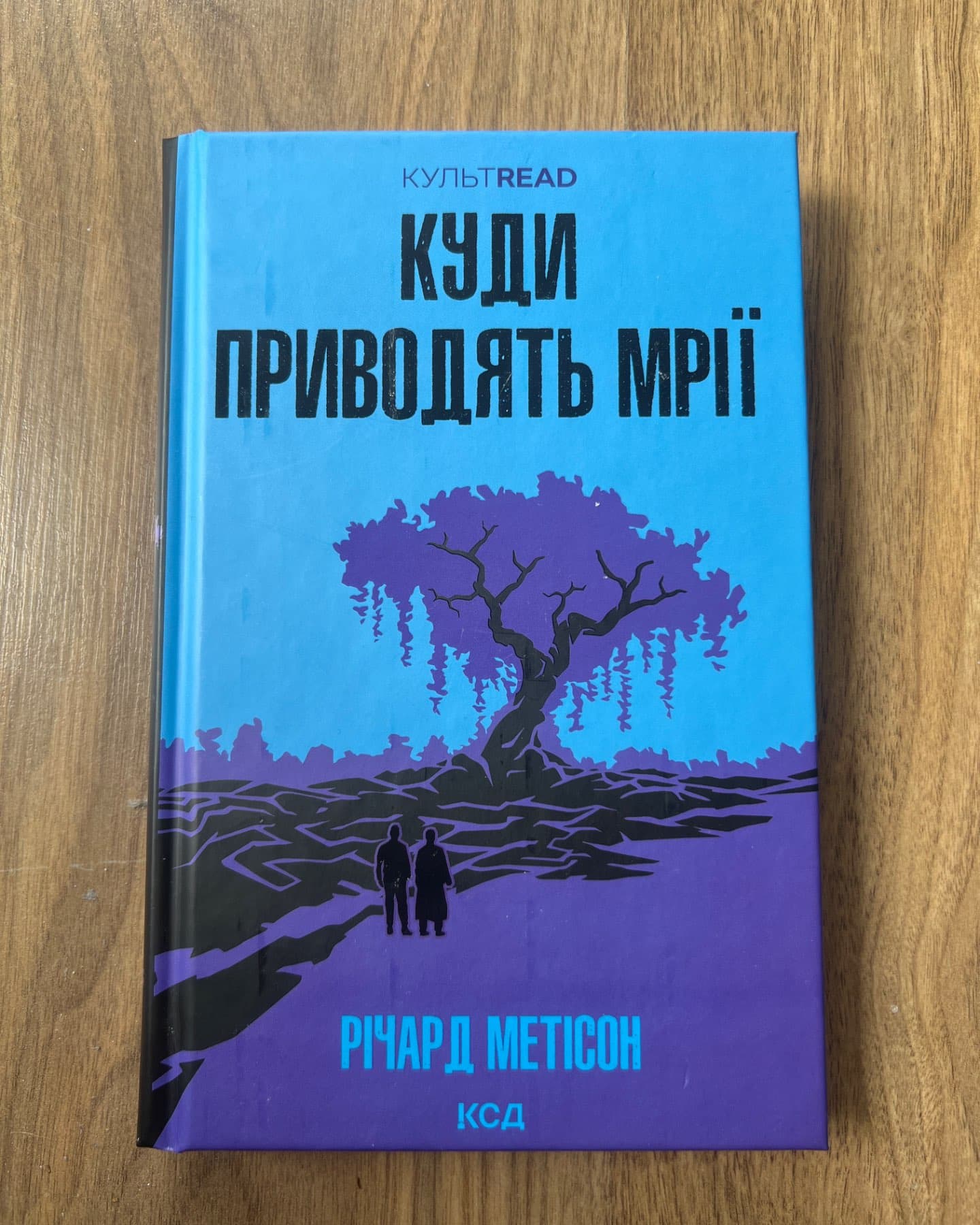 Куди приводять мрії-Річард Метісон