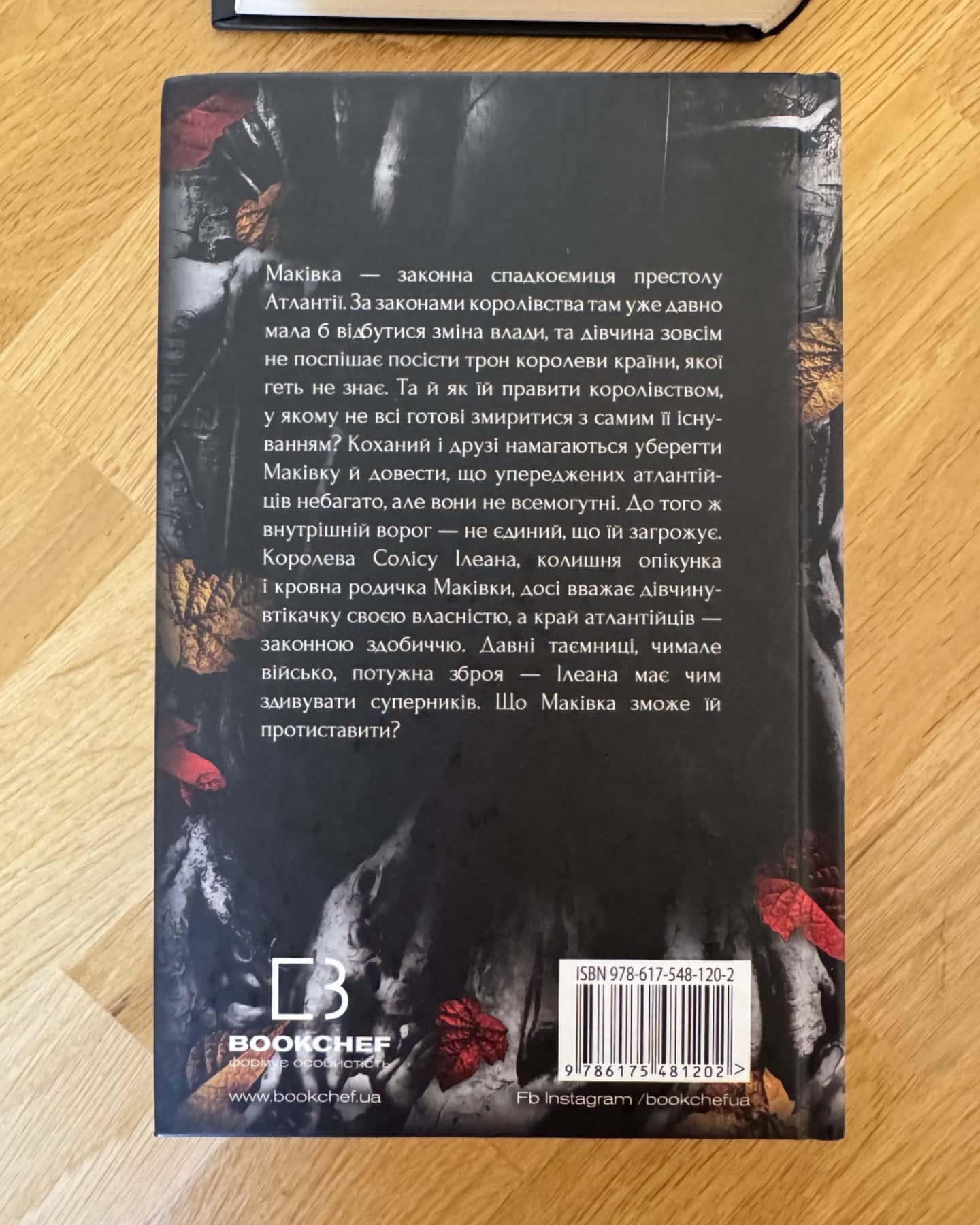 Кров і попіл. Книга 1. Із крові й попелу, Кров і попіл. Книга 2. Королівство плоті й вогню, Кров і попіл. Книга 3. Корона з позолочених кісток, Кров і попіл. Книга 4. Війна двох королев — Дженніфер Л. Арментраут