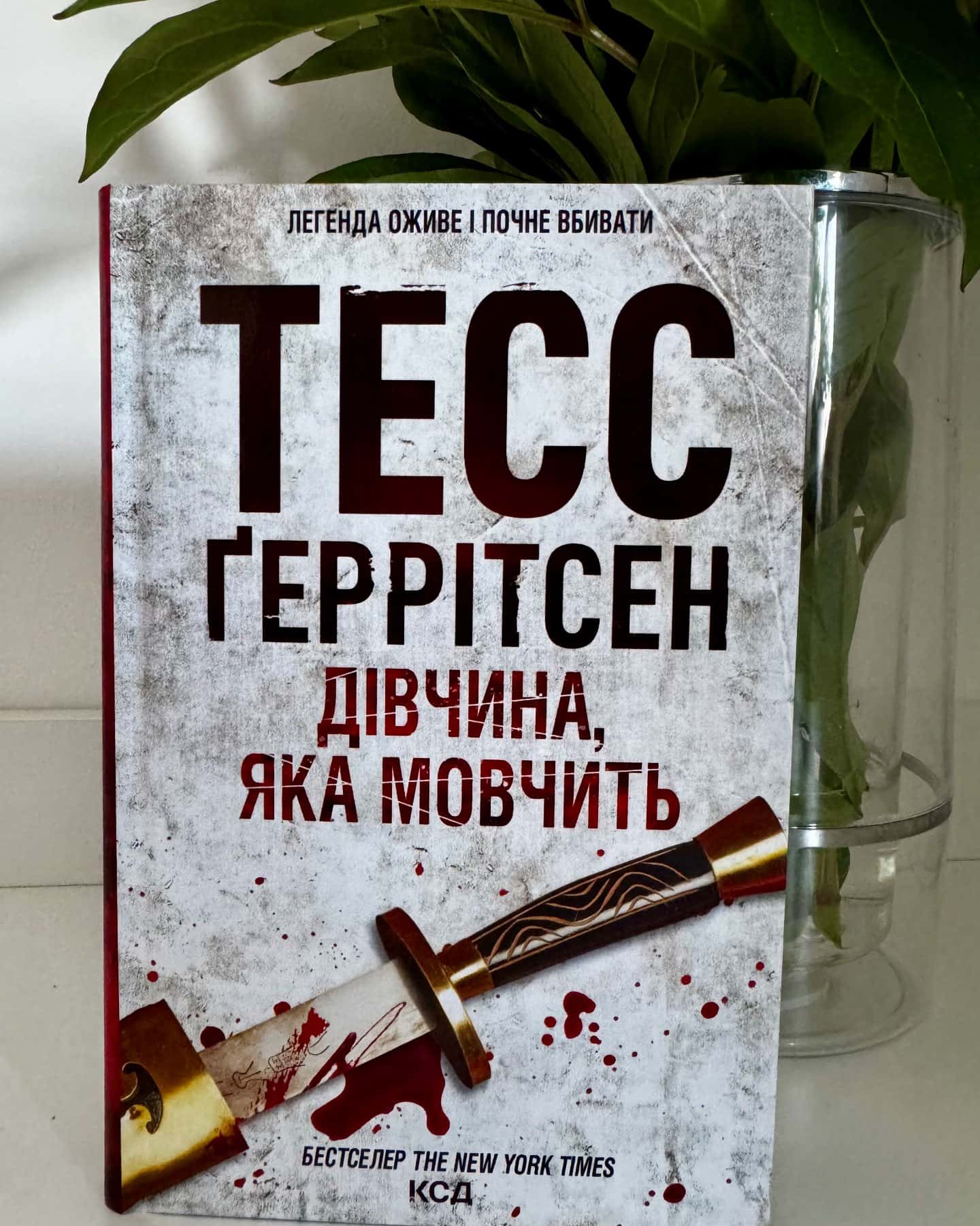 Дівчина яка мовчить-Тесс Ґеррітсен