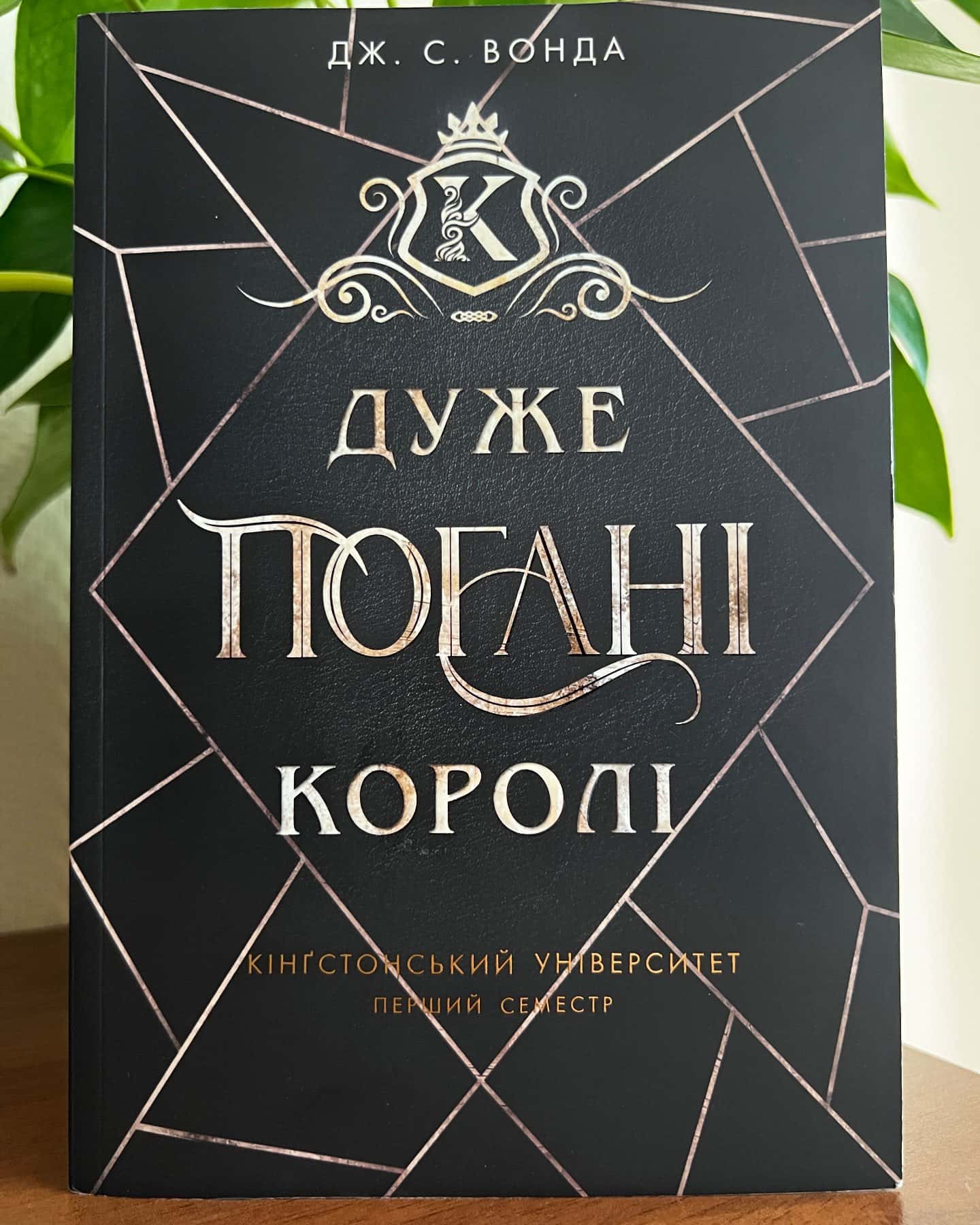 Дуже погані королі. Кінгстонський університет. Книга 1 — Дж. С. Вонда