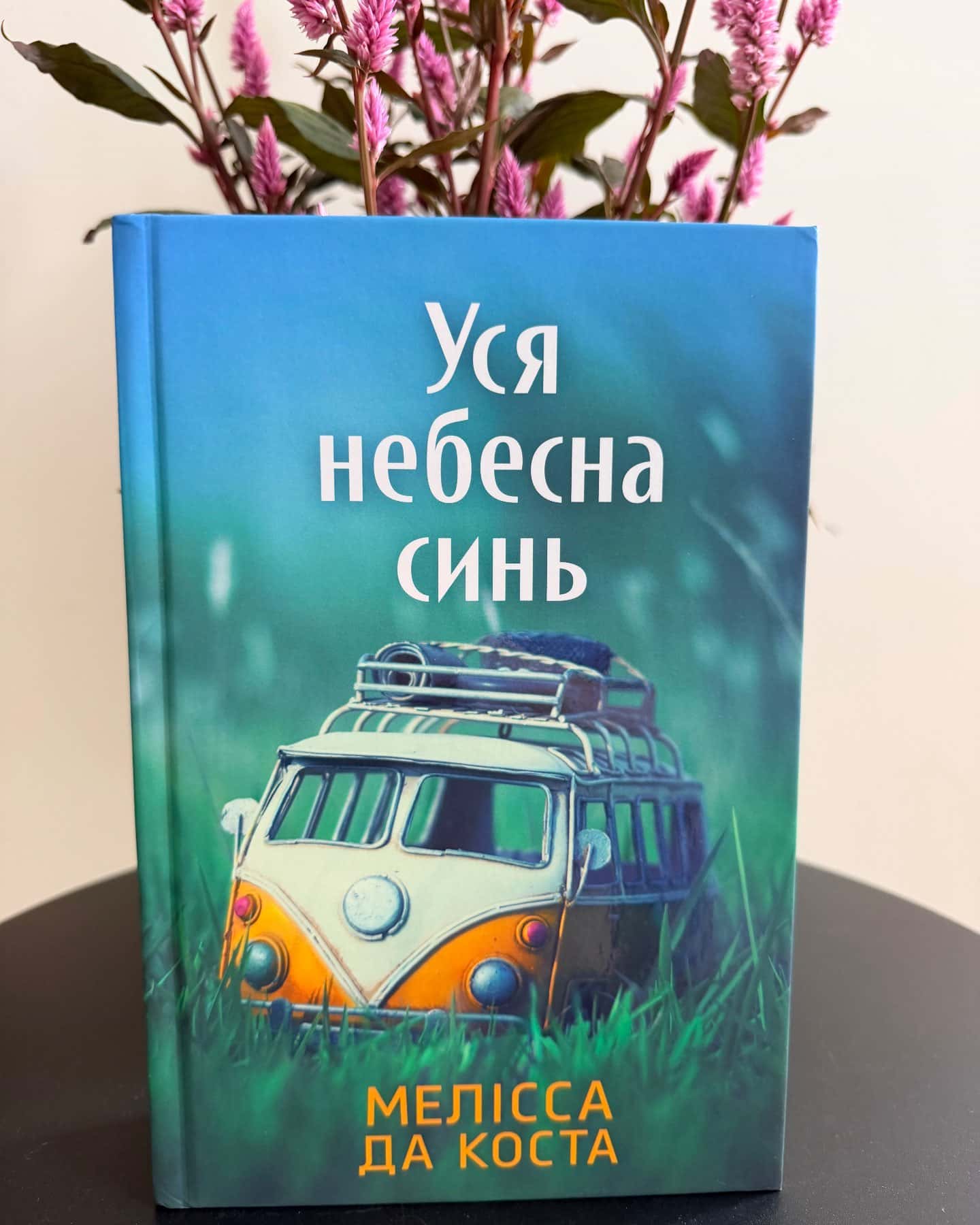Уся небесна синь — Мелісса Да Коста