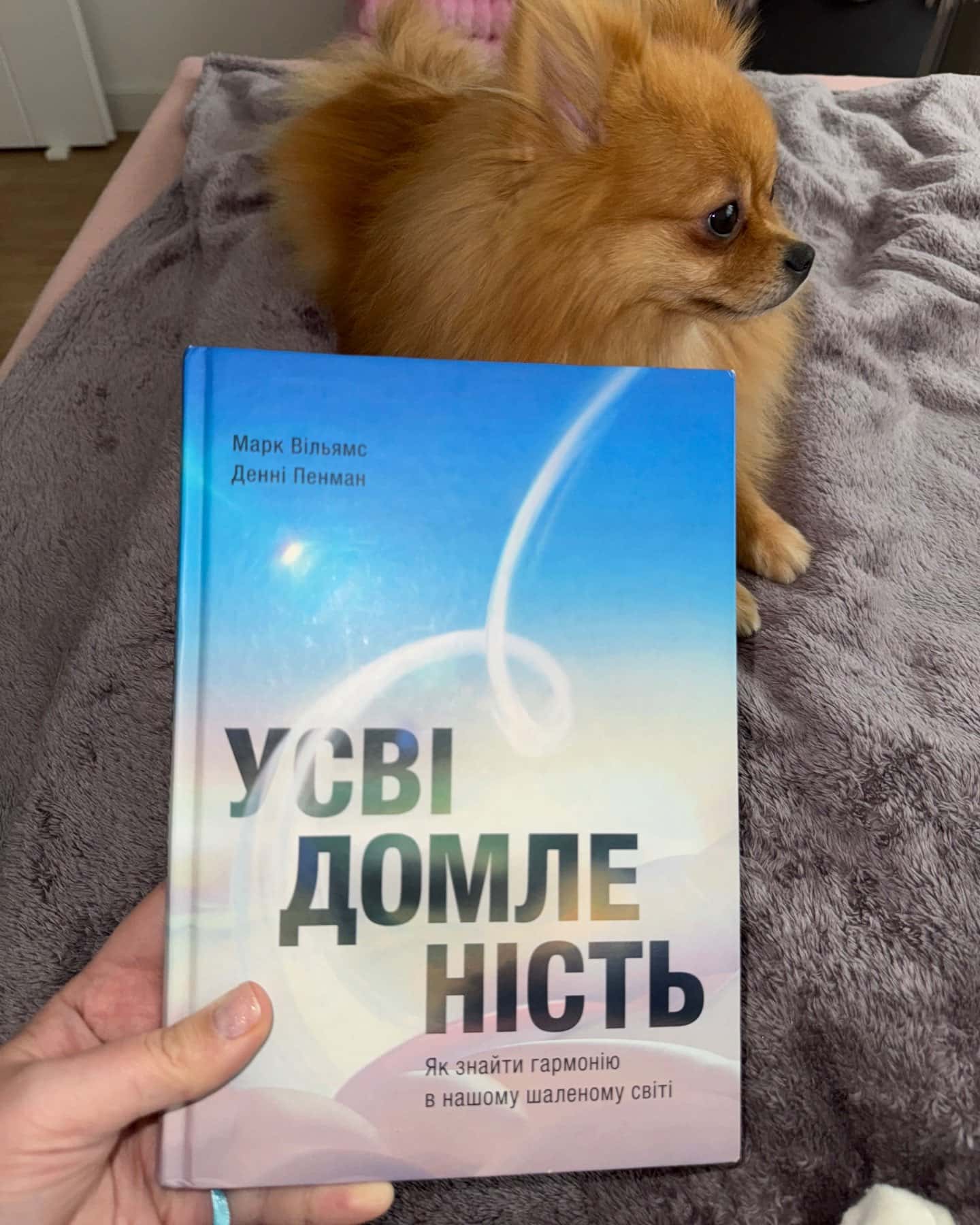 Усвідомленість. Як знайти гармонію в нашому шаленому світі — Денні Пенман, Марк Вільямс