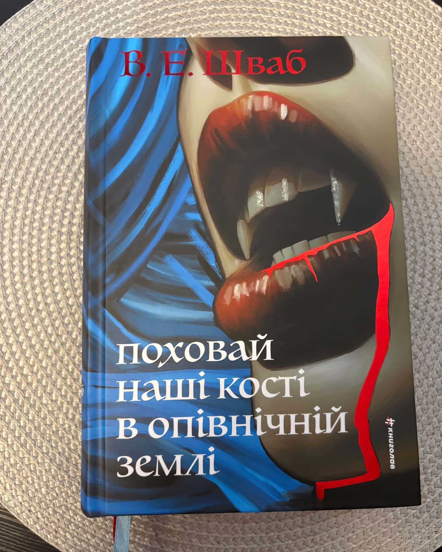 Поховай наші кості в опівнічній землі — Вікторія Шваб