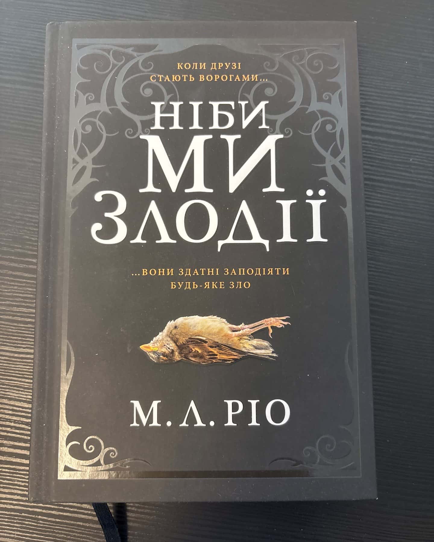 Ніби ми злодії — М. Л. Ріо