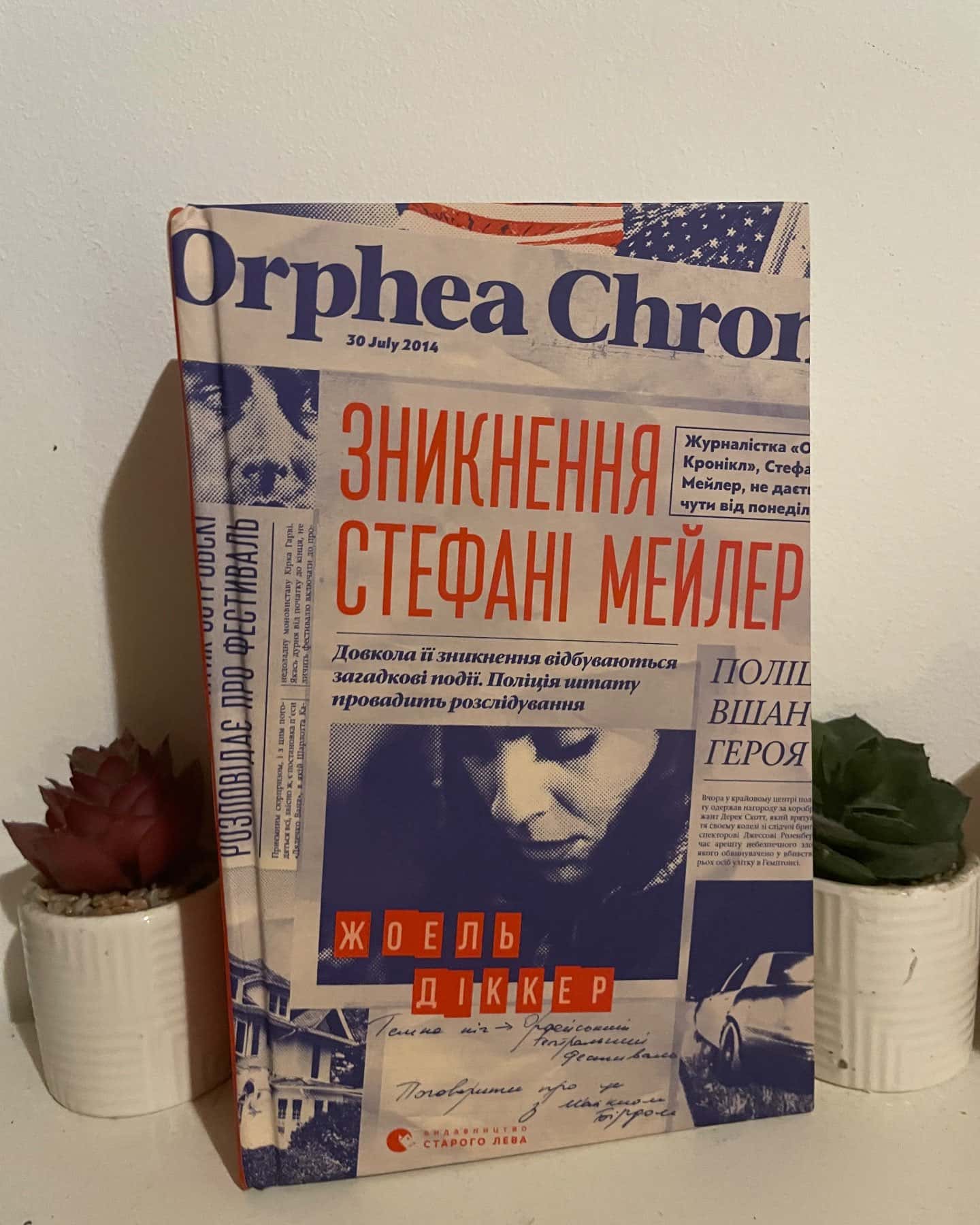 Зникнення Стефані Мейлер — Жоель Діккер