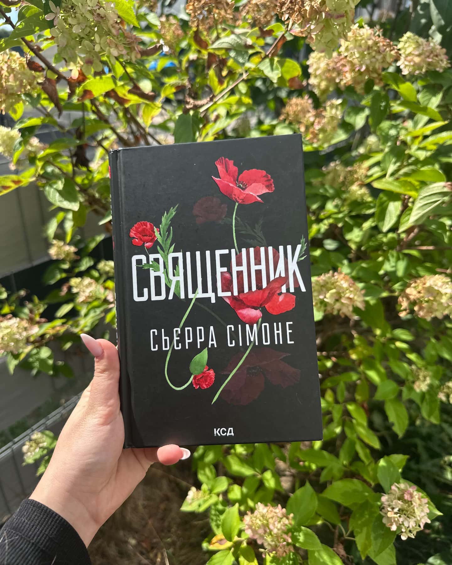 Священник. Книга 1 — Сьєрра Сімоне