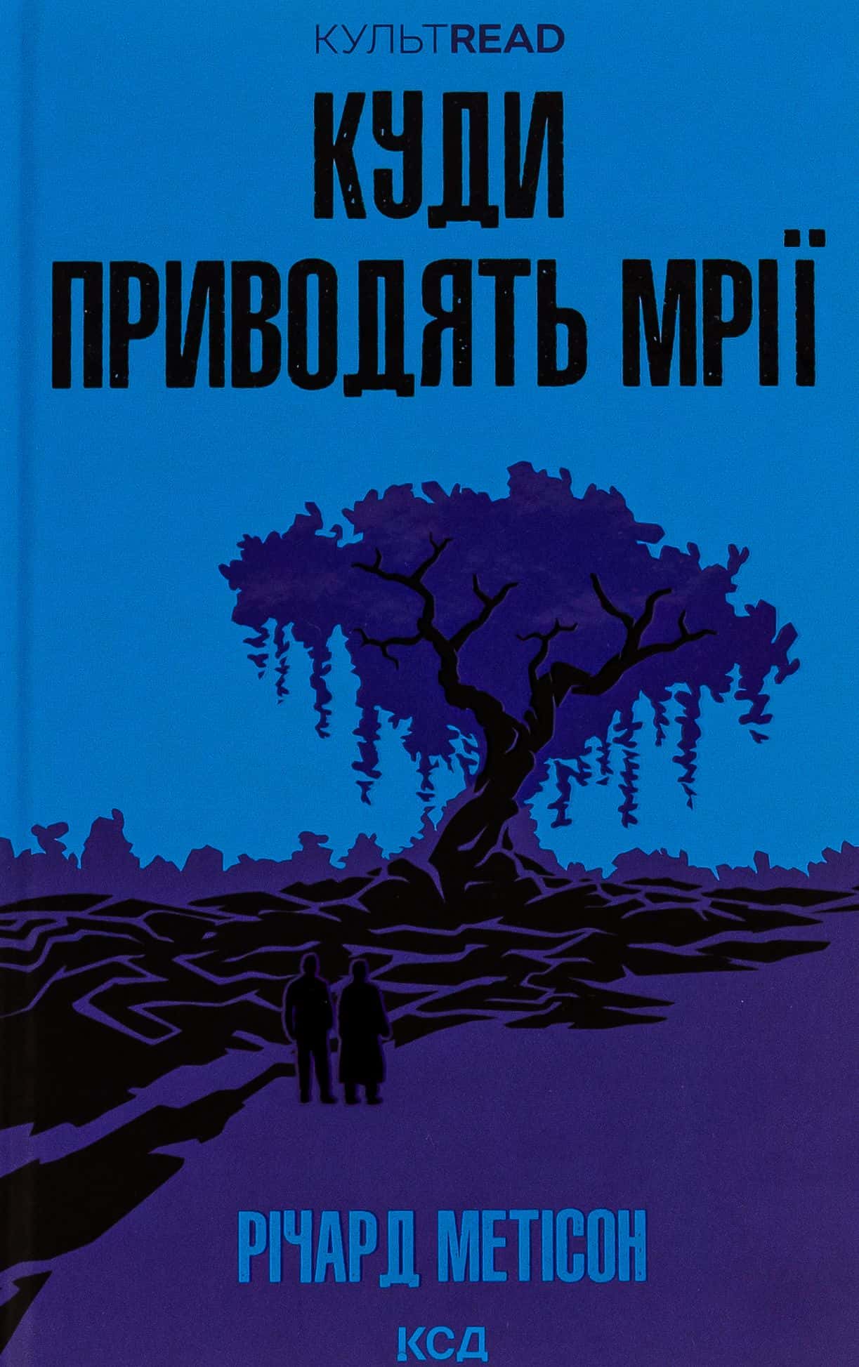 Обкладинка книги «Куди приводять мрії» — Річард Метісон