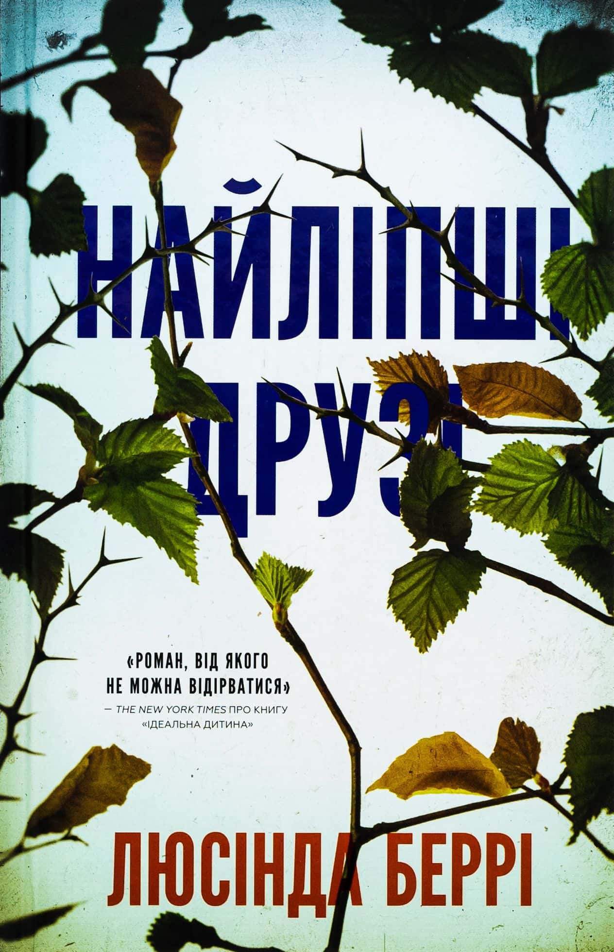 Обкладинка книги «Найліпші друзі» — Люсінда Беррі