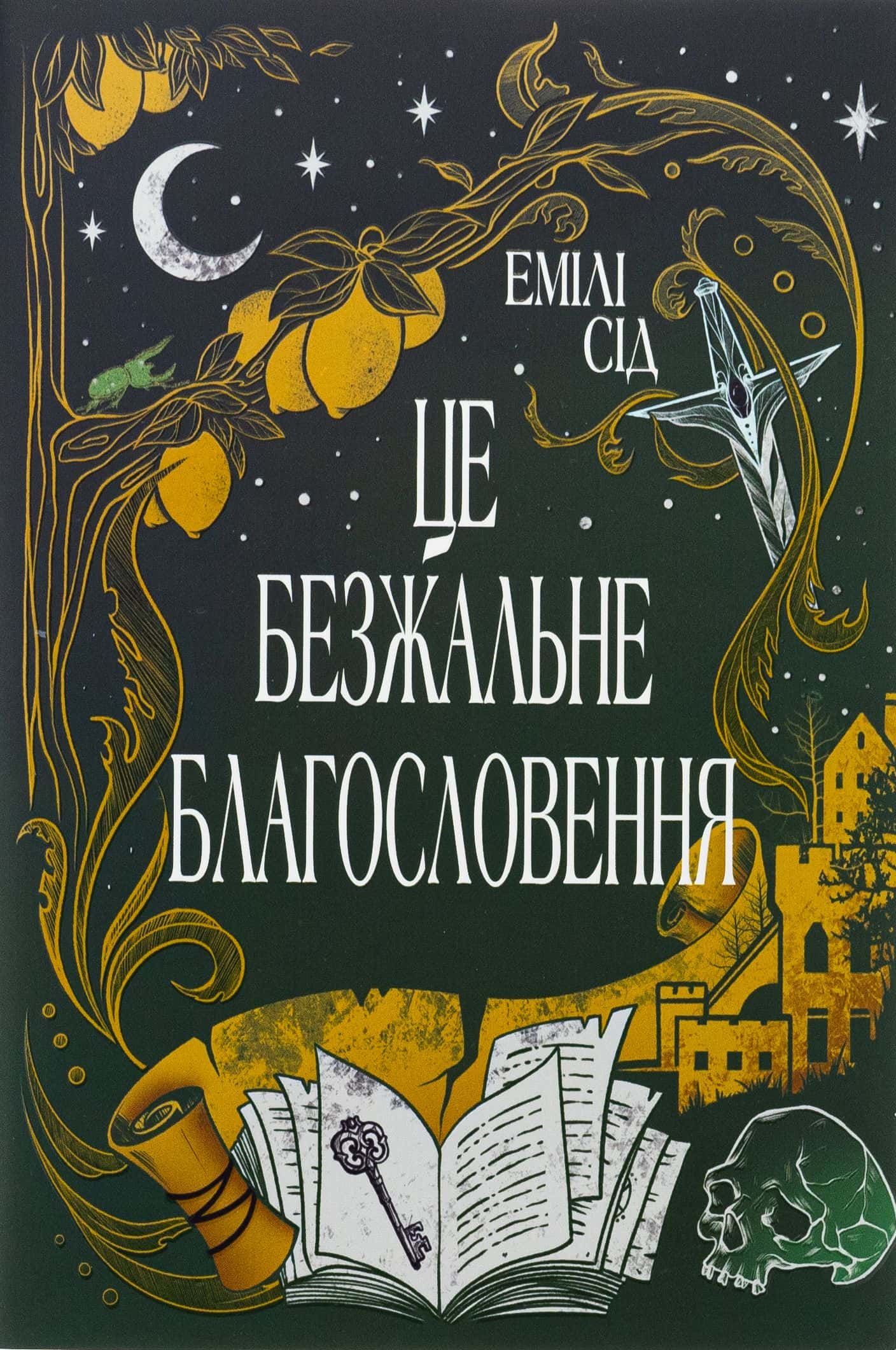 Обкладинка книги «Це безжальне благословення» — Емілі Сід