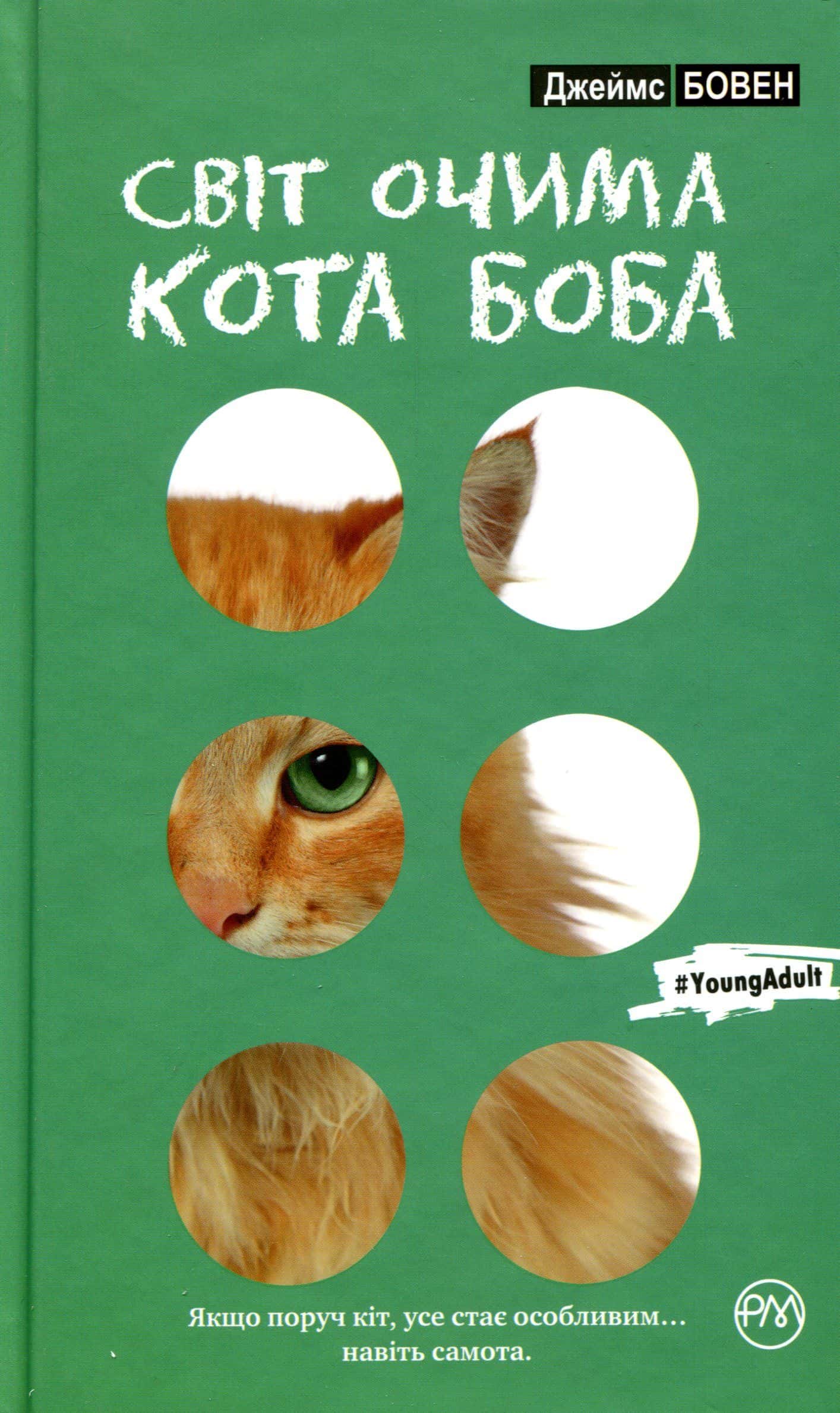 Обкладинка книги «Світ очима кота Боба» — Джеймс Бовен